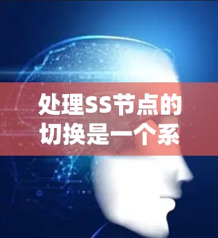 处理SS节点的切换是一个系统性的工作，涉及多个方面，以下是一步步的指南