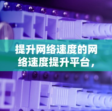 提升网络速度的网络速度提升平台，技术与实践的结合