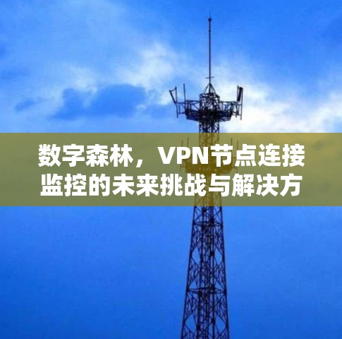 数字森林，VPN节点连接监控的未来挑战与解决方案