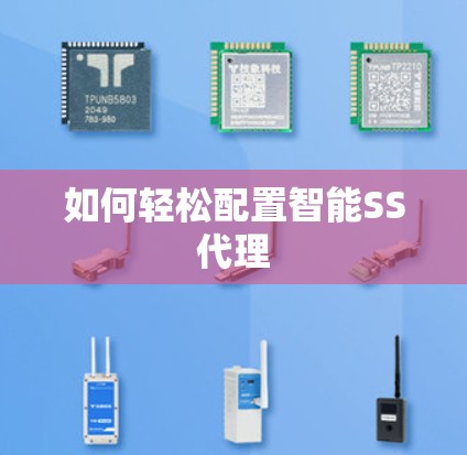 如何轻松配置智能SS代理