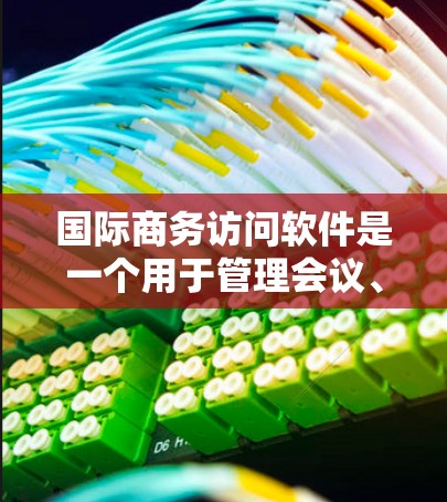 国际商务访问软件是一个用于管理会议、活动和会议记录的工具，广泛应用于全球范围内的企业和组织。以下是一些常见的国际商务访问软件推荐