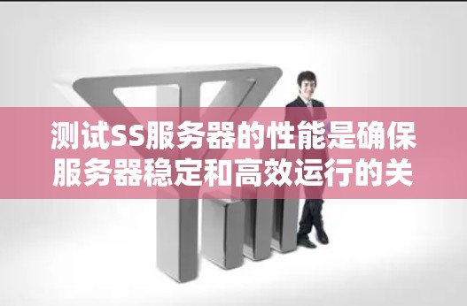 测试SS服务器的性能是确保服务器稳定和高效运行的关键步骤。以下是一个结构化的测试指南，帮助你全面评估SS服务器的性能