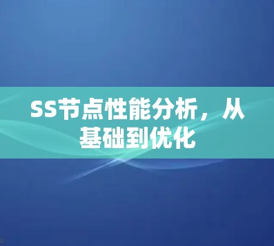 SS节点性能分析，从基础到优化