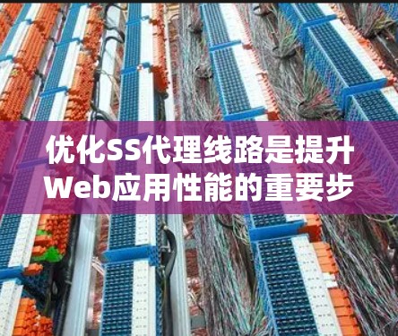 优化SS代理线路是提升Web应用性能的重要步骤，以下是一步步的建议