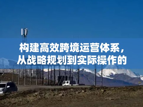构建高效跨境运营体系，从战略规划到实际操作的优化方案