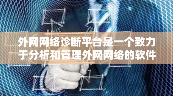 外网网络诊断平台是一个致力于分析和管理外网网络的软件或设备，旨在评估网络状态，确保其稳定性和安全。以下是对该平台的详细总结