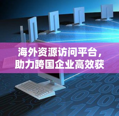 海外资源访问平台，助力跨国企业高效获取全球资源