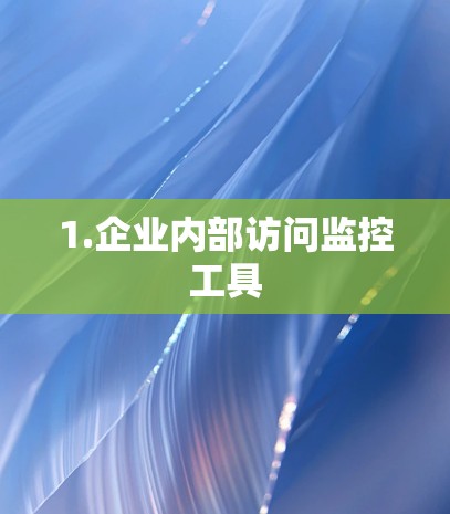 1.企业内部访问监控工具