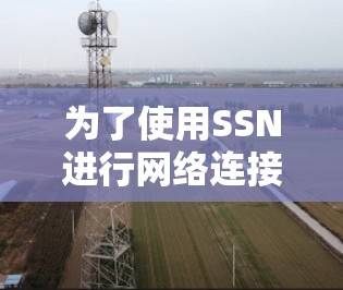 为了使用SSN进行网络连接检测，您可以按照以下步骤进行操作