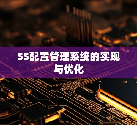 SS配置管理系统的实现与优化