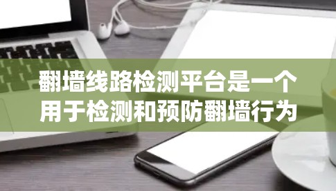 翻墙线路检测平台是一个用于检测和预防翻墙行为的网络安全工具。以下是对该平台的系统总结