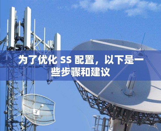 为了优化 SS 配置，以下是一些步骤和建议