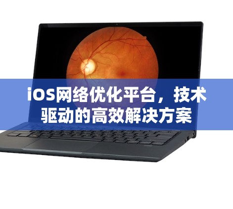 iOS网络优化平台，技术驱动的高效解决方案