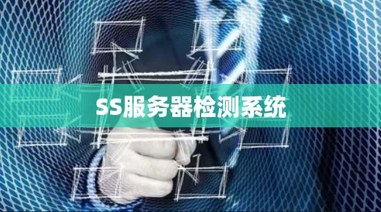 SS服务器检测系统