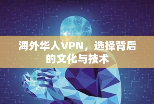 海外华人VPN，选择背后的文化与技术