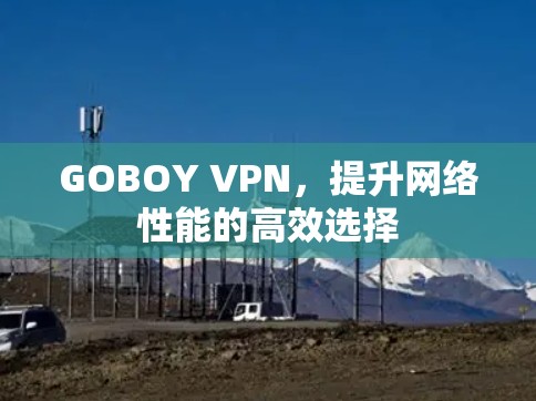 GOBOY VPN，提升网络性能的高效选择
