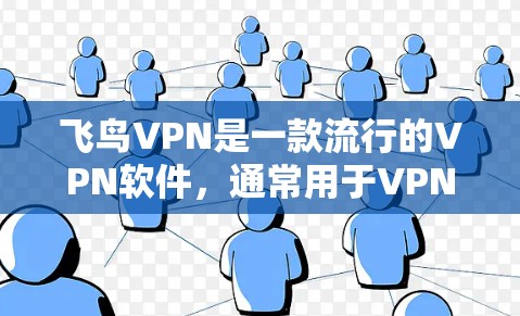 飞鸟VPN是一款流行的VPN软件，通常用于VPN连接。以下是如何在手机上安装飞鸟VPN的步骤