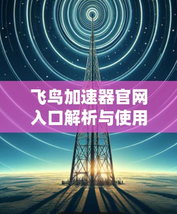 飞鸟加速器官网入口解析与使用指南