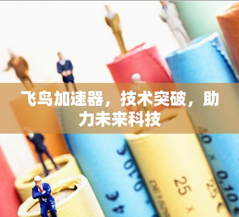 飞鸟加速器，技术突破，助力未来科技