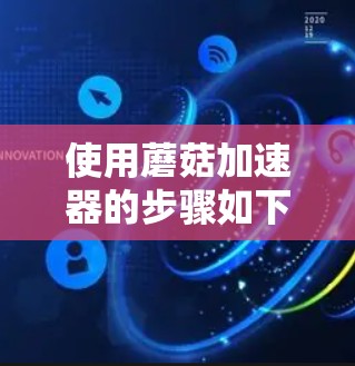 使用蘑菇加速器的步骤如下