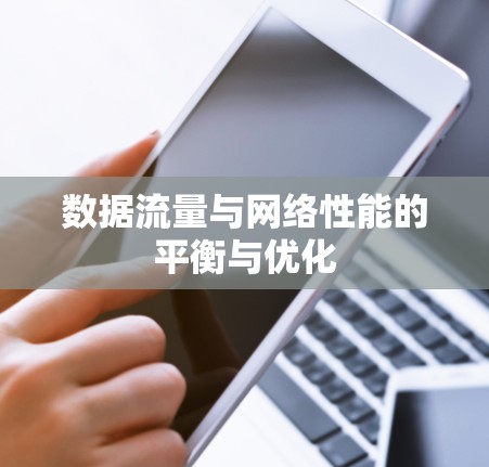 数据流量与网络性能的平衡与优化