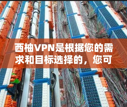 西柚VPN是根据您的需求和目标选择的，您可以选择适合自己的服务。以下是一些常见的VPN功能及其简介