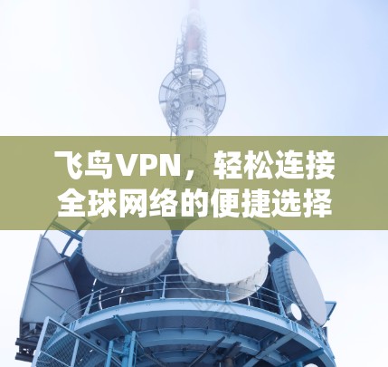 飞鸟VPN，轻松连接全球网络的便捷选择