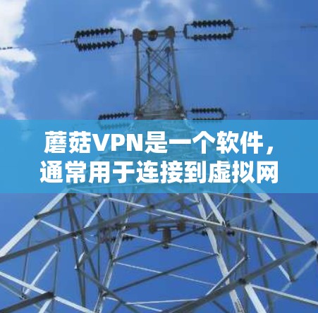 蘑菇VPN是一个软件，通常用于连接到虚拟网络（VPN）上的服务器。蘑菇VPN电脑端指的是通过电脑软件来使用蘑菇VPN服务