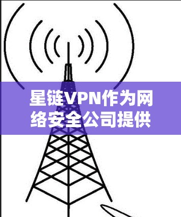 星链VPN作为网络安全公司提供的高级加密VPN产品，提供了多种选择，包括BGP VPN和DDoS VPN。以下是详细的使用方法和步骤指南