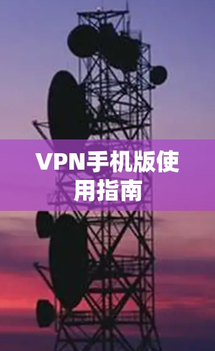 VPN手机版使用指南