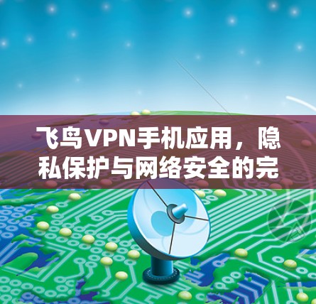 飞鸟VPN手机应用，隐私保护与网络安全的完美融合