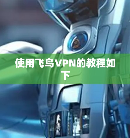 使用飞鸟VPN的教程如下