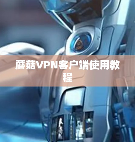 蘑菇VPN客户端使用教程