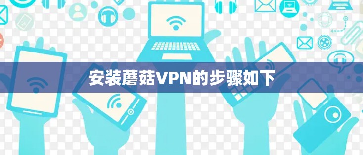 安装蘑菇VPN的步骤如下
