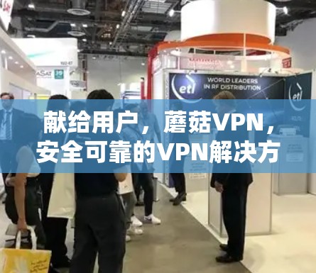 献给用户，蘑菇VPN，安全可靠的VPN解决方案