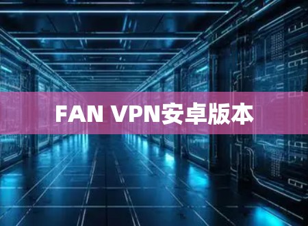 FAN VPN安卓版本