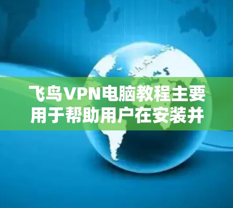 飞鸟VPN电脑教程主要用于帮助用户在安装并使用飞鸟VPN电脑软件时，顺利进行虚拟网络接入、端密设置、视频通话、文件传输等操作。以下是一些常见的步骤和操作说明