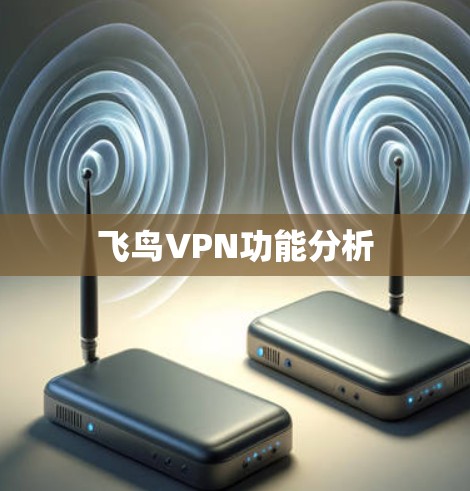 飞鸟VPN功能分析