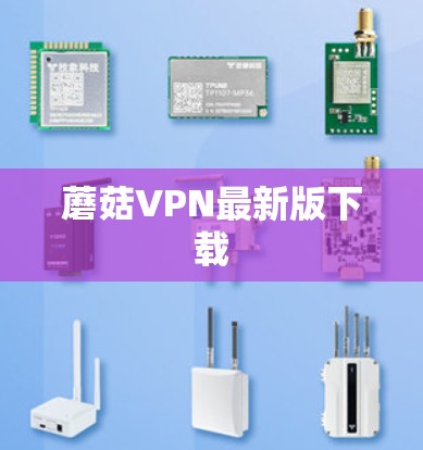 蘑菇VPN最新版下载
