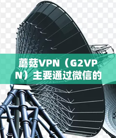 蘑菇VPN（G2VPN）主要通过微信的云服务来实现。以下是使用微信连接蘑菇VPN的方法