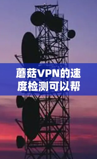 蘑菇VPN的速度检测可以帮助你了解其网络连接的稳定性和带宽效率。以下是一些常用的方法和工具来检测蘑菇VPN的速率