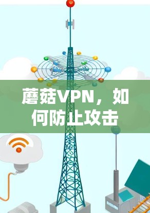 蘑菇VPN，如何防止攻击与保护你的网络