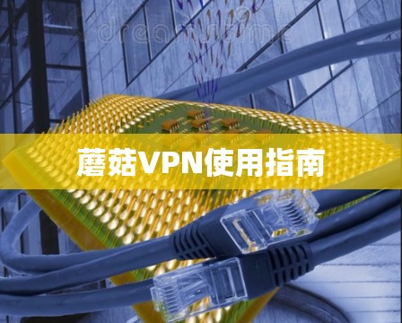 蘑菇VPN使用指南