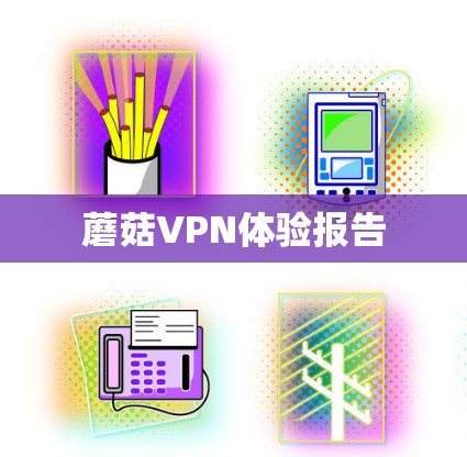 蘑菇VPN体验报告