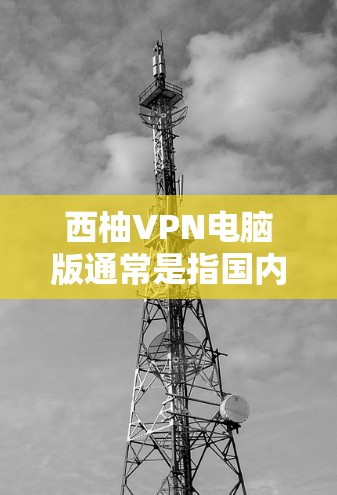 西柚VPN电脑版通常是指国内或国际的VPN软件，具体使用方法可能因软件而异。以下是一些通用的使用步骤和注意事项，帮助您更好地使用西柚VPN电脑版