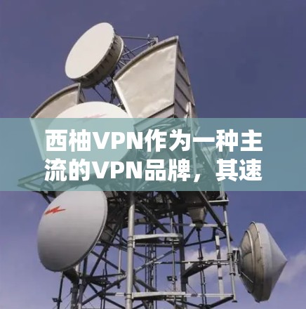 西柚VPN作为一种主流的VPN品牌，其速度体验通常非常稳定，尤其是使用其推荐的路由器（如U-2）时，带宽和延迟表现都很出色。以下是关于西柚VPN速度体验的详细分析