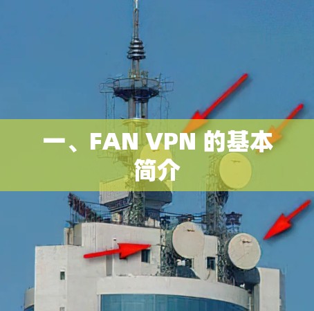 一、FAN VPN 的基本简介
