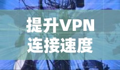 提升VPN连接速度的几点小窍门