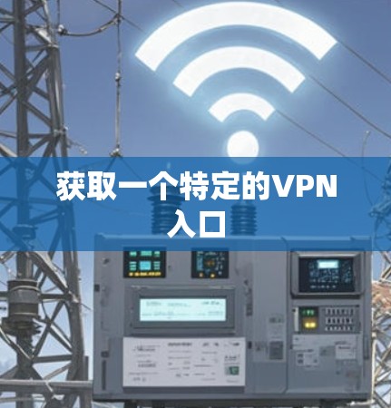 获取一个特定的VPN入口