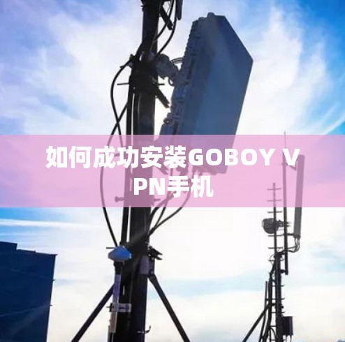 如何成功安装GOBOY VPN手机